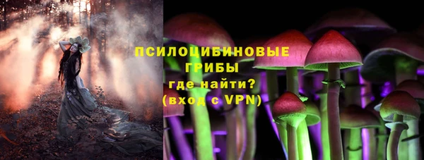 стафф Надым