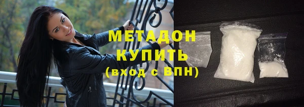 прущие грибы Михайловск