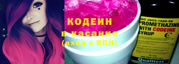 прущие грибы Михайловск