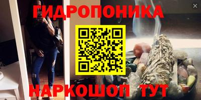 прущие грибы Волжск