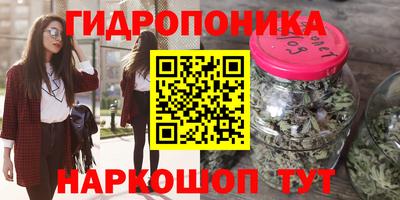 прущие грибы Волжск