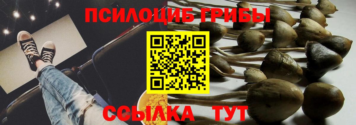 Псилоцибиновые грибы Magic Shrooms Краснокамск
