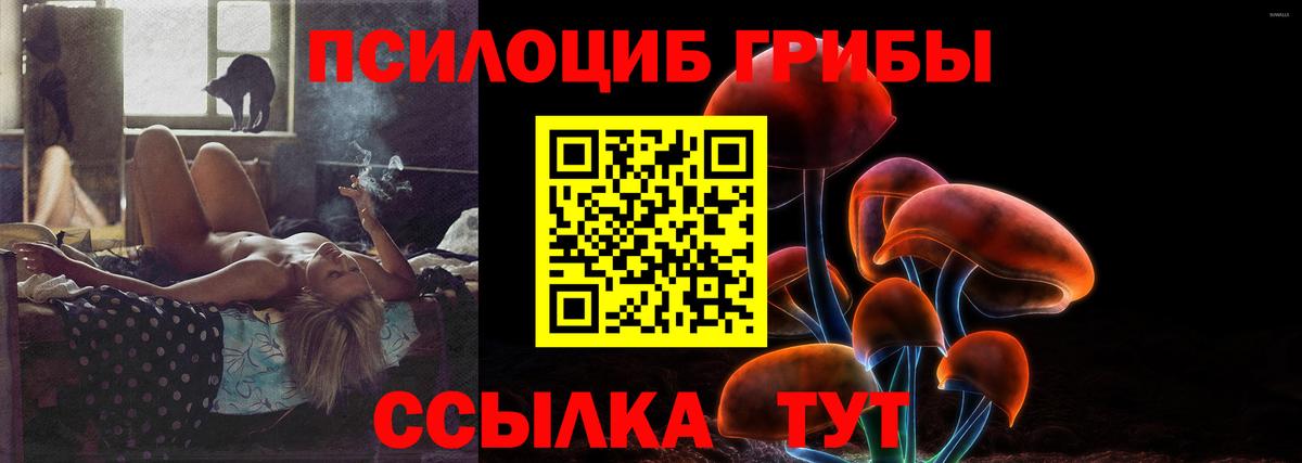 Псилоцибиновые грибы прущие грибы  Галлюциногенные грибы Psilocybine cubensis  Краснокамск  Вход с VPN 